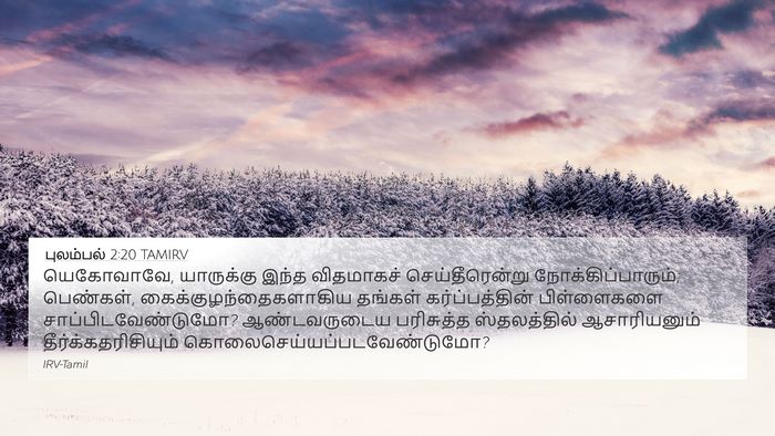 புலம்பல் 2:20 TAMIRV Bible Verse Image