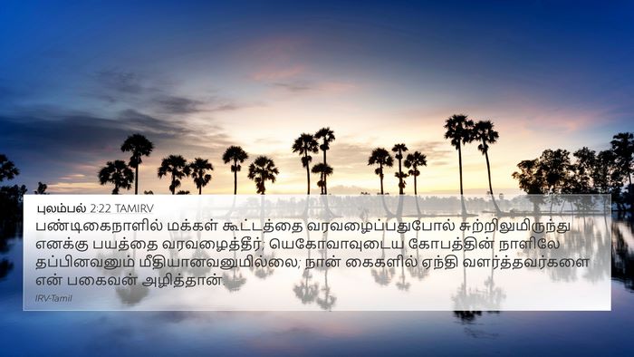 புலம்பல் 2:22 TAMIRV Bible Verse Image