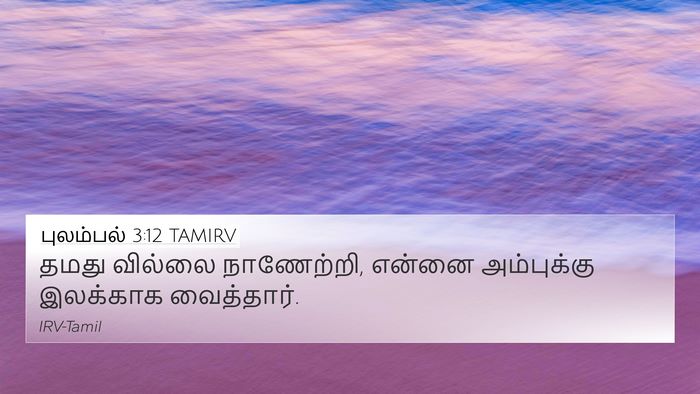 புலம்பல் 3:12 TAMIRV Bible Verse Image