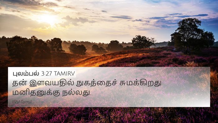 புலம்பல் 3:27 TAMIRV Bible Verse Image