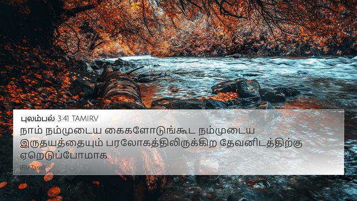 புலம்பல் 3:41 TAMIRV Bible Verse Image