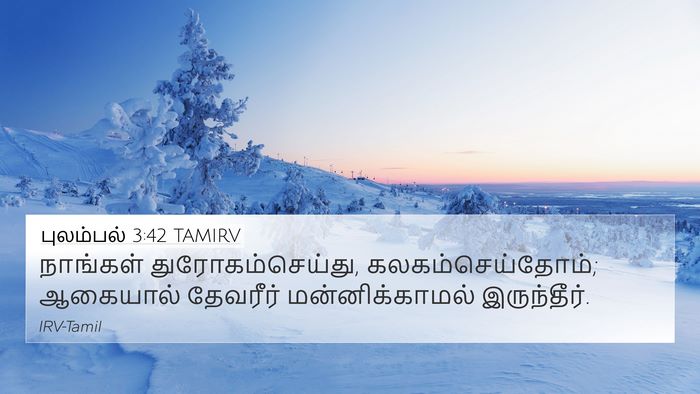 புலம்பல் 3:42 TAMIRV Bible Verse Image