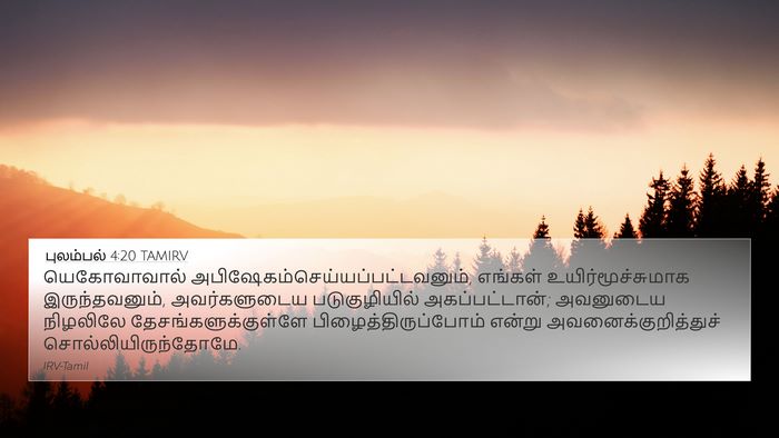 புலம்பல் 4:20 TAMIRV Bible Verse Image