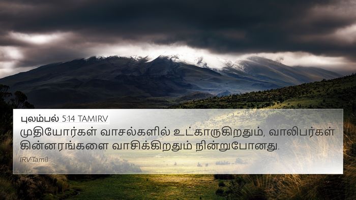 புலம்பல் 5:14 TAMIRV Bible Verse Image