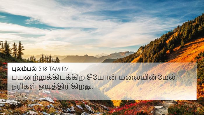 புலம்பல் 5:18 TAMIRV Bible Verse Image