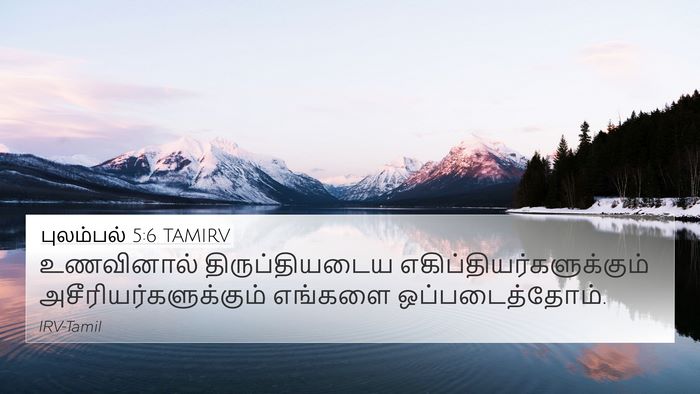 புலம்பல் 5:6 TAMIRV Bible Verse Image