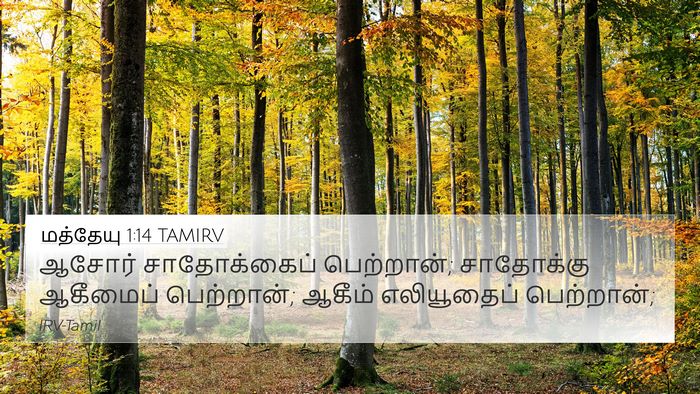 மத்தேயு 1:14 TAMIRV 4K Wallpaper - ஆசோர் சாதோக்கைப் - 4K Wallpaper Bible Verse