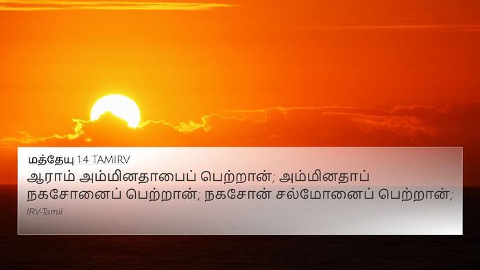 மத்தேயு 1:4 TAMIRV Bible Verse Image