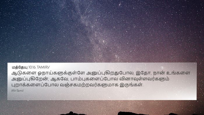மத்தேயு 10:16 TAMIRV Bible Verse Image