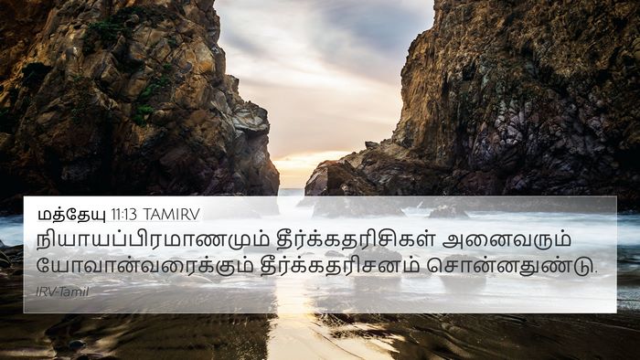 மத்தேயு 11:13 TAMIRV Bible Verse Image