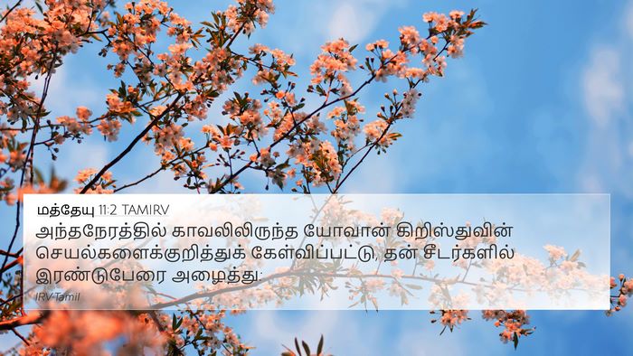 மத்தேயு 11:2 TAMIRV 4K Wallpaper - அந்தநேரத்தில் - 4K Wallpaper Bible Verse