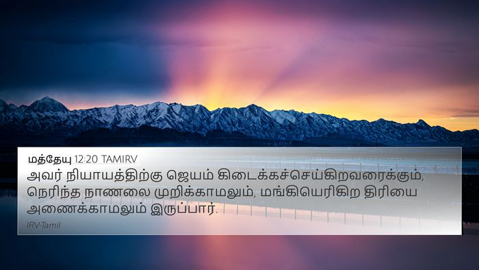 மத்தேயு 12:20 TAMIRV 4K Wallpaper - அவர் - 4K Wallpaper Bible Verse