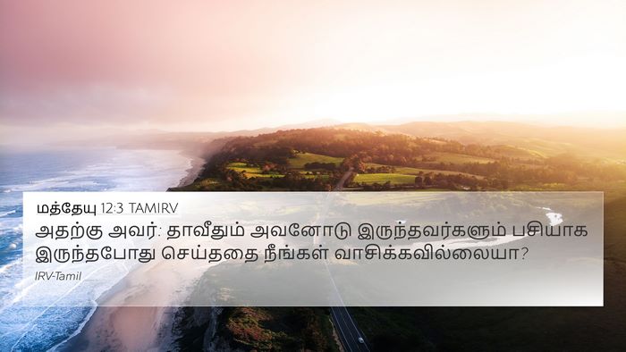 மத்தேயு 12:3 TAMIRV Bible Verse Image