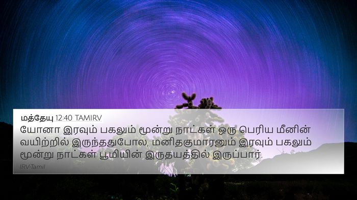 மத்தேயு 12:40 TAMIRV Bible Verse Image