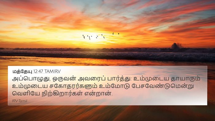 மத்தேயு 12:47 TAMIRV 4K Wallpaper - அப்பொழுது, ஒருவன் - 4K Wallpaper Bible Verse