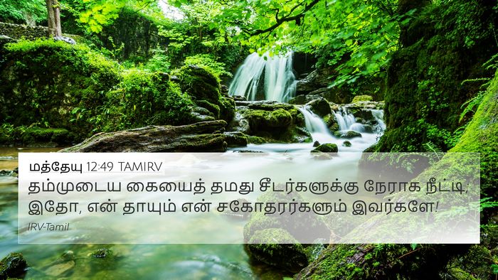 மத்தேயு 12:49 TAMIRV Bible Verse Image