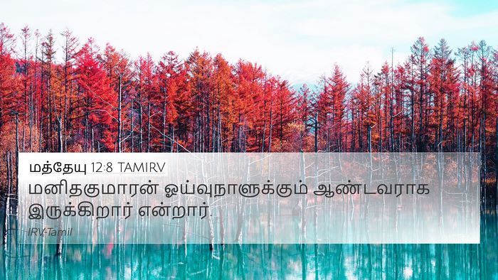 மத்தேயு 12:8 TAMIRV Bible Verse Image