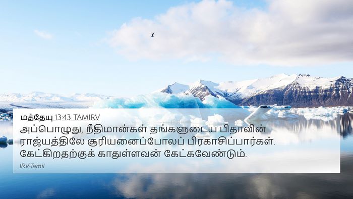 மத்தேயு 13:43 TAMIRV Bible Verse Image