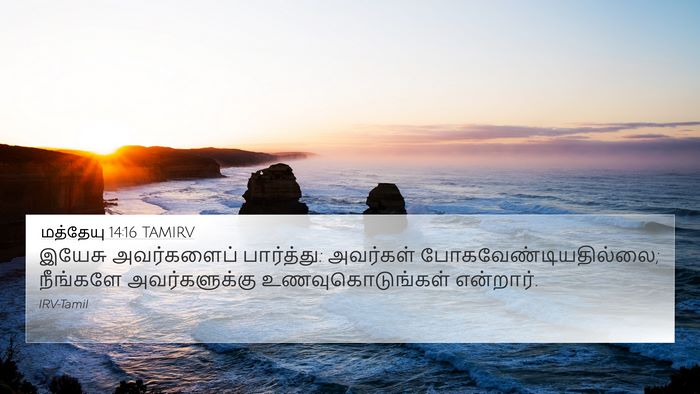 மத்தேயு 14:16 TAMIRV Bible Verse Image