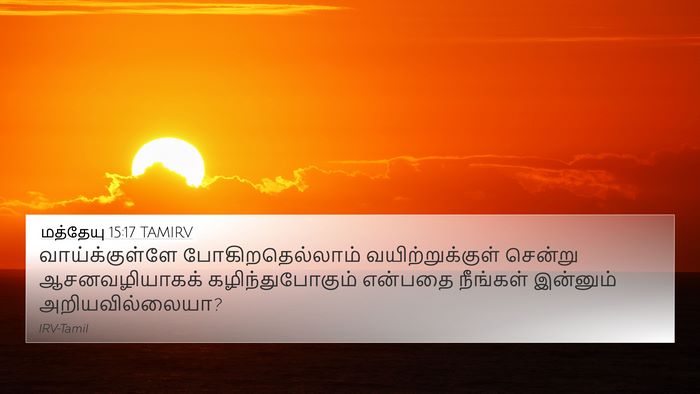 மத்தேயு 15:17 TAMIRV Bible Verse Image