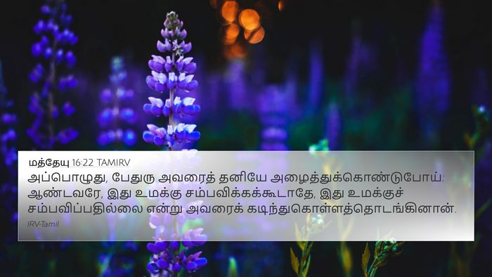 மத்தேயு 16:22 TAMIRV Bible Verse Image