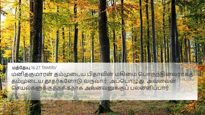 மத்தேயு 16:27 TAMIRV Bible Verse Image