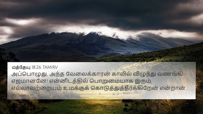 மத்தேயு 18:26 TAMIRV Bible Verse Image