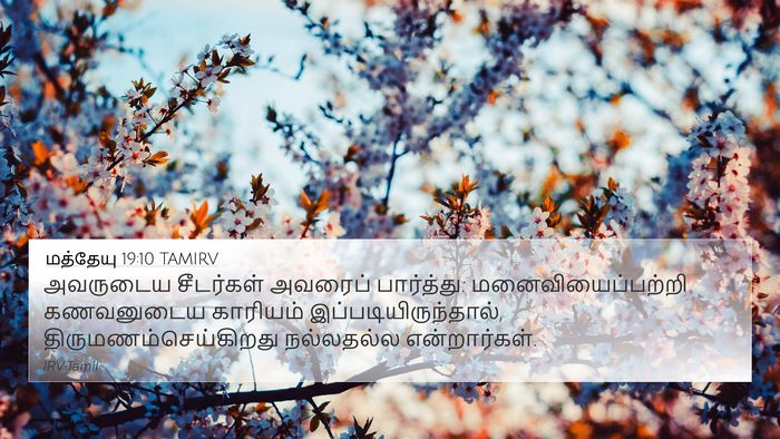மத்தேயு 19:10 TAMIRV 4K Wallpaper - அவருடைய சீடர்கள் - 4K Wallpaper Bible Verse