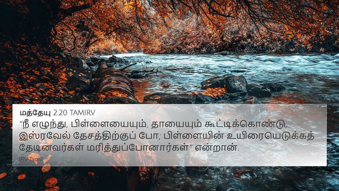 மத்தேயு 2:20 TAMIRV Bible Verse Image