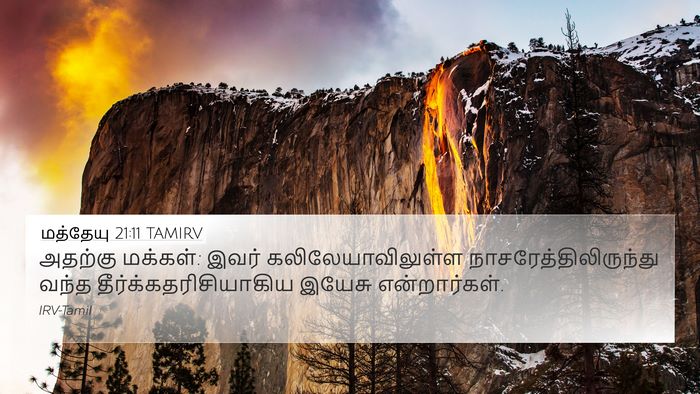 மத்தேயு 21:11 TAMIRV Bible Verse Image