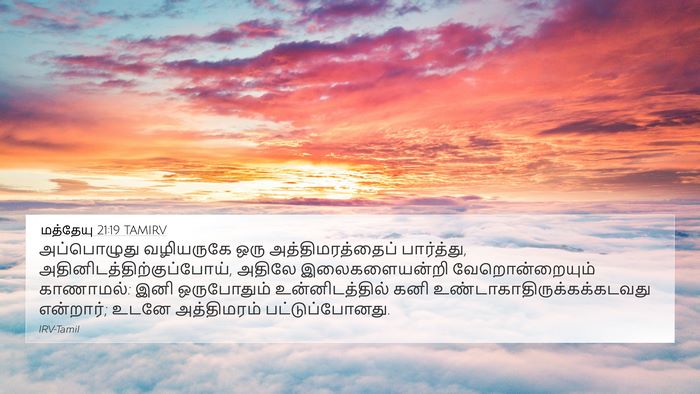 மத்தேயு 21:19 TAMIRV Bible Verse Image