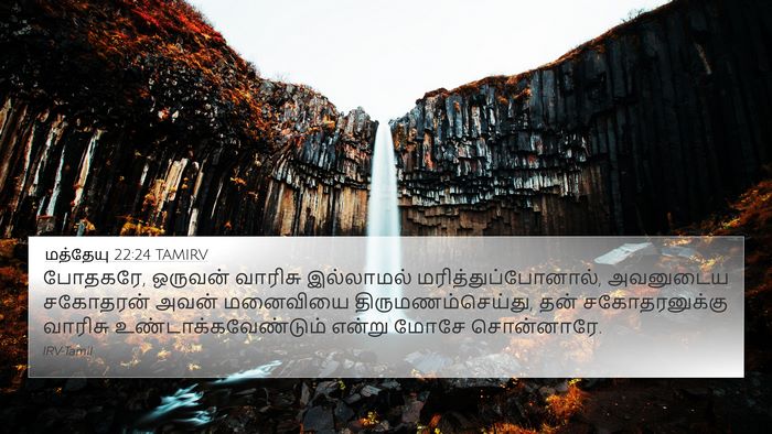 மத்தேயு 22:24 TAMIRV Bible Verse Image