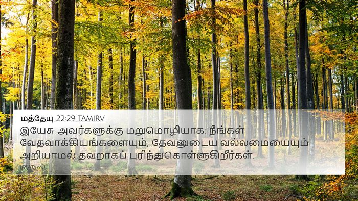 மத்தேயு 22:29 TAMIRV Bible Verse Image