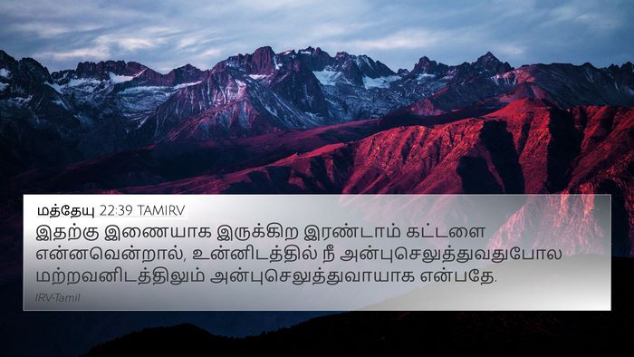 மத்தேயு 22:39 TAMIRV Bible Verse Image