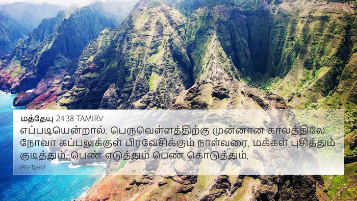 மத்தேயு 24:38 TAMIRV Bible Verse Image