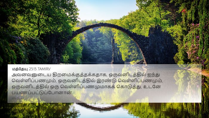 மத்தேயு 25:15 TAMIRV Bible Verse Image
