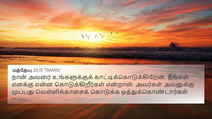 மத்தேயு 26:15 TAMIRV Bible Verse Image