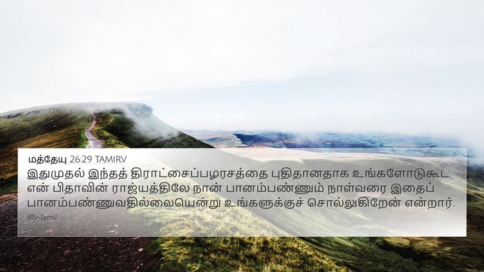மத்தேயு 26:29 TAMIRV Bible Verse Image
