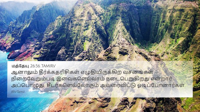 மத்தேயு 26:56 TAMIRV Bible Verse Image