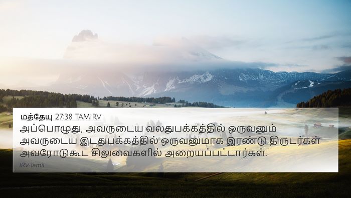 மத்தேயு 27:38 TAMIRV Bible Verse Image