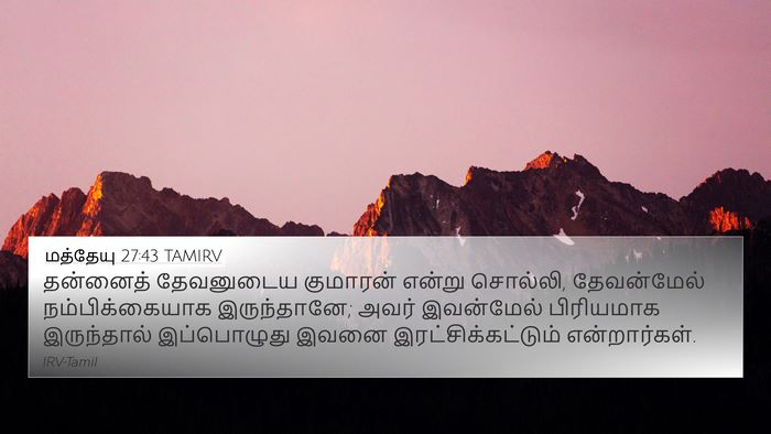 மத்தேயு 27:43 TAMIRV 4K Wallpaper - தன்னைத் தேவனுடைய - 4K Wallpaper Bible Verse