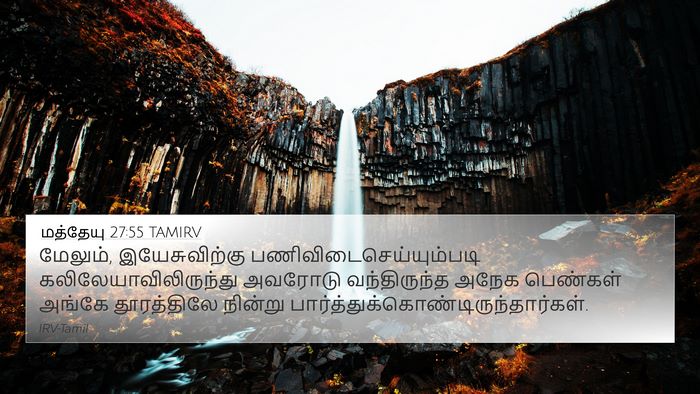 மத்தேயு 27:55 TAMIRV 4K Wallpaper - மேலும், - 4K Wallpaper Bible Verse