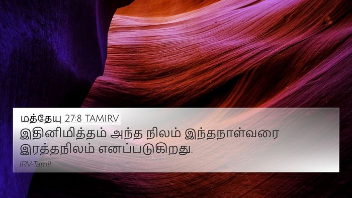 மத்தேயு 27:8 TAMIRV 4K Wallpaper - இதினிமித்தம் அந்த - 4K Wallpaper Bible Verse