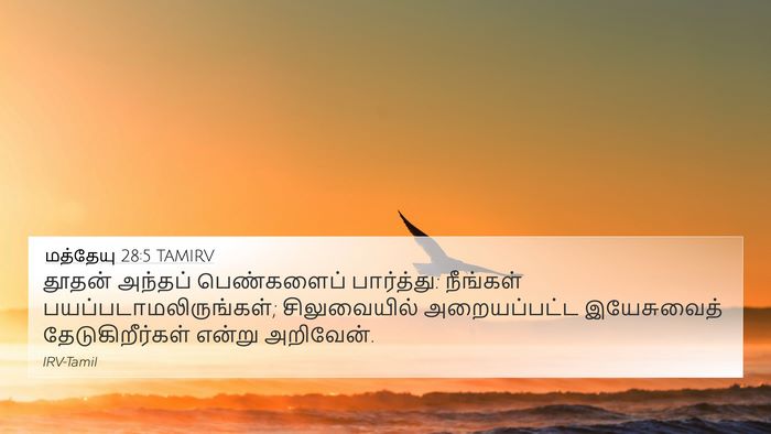 மத்தேயு 28:5 TAMIRV Bible Verse Image