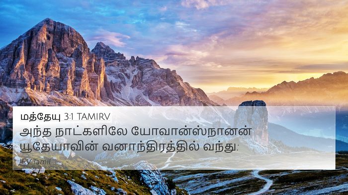 மத்தேயு 3:1 TAMIRV Bible Verse Image