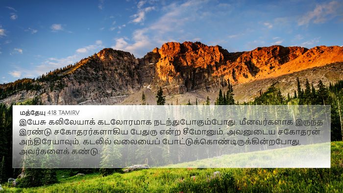 மத்தேயு 4:18 TAMIRV Bible Verse Image