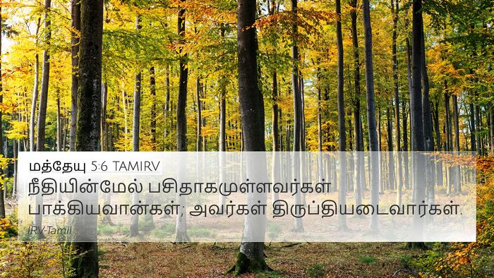 மத்தேயு 5:6 TAMIRV Bible Verse Image