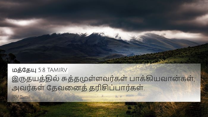 மத்தேயு 5:8 TAMIRV Bible Verse Image
