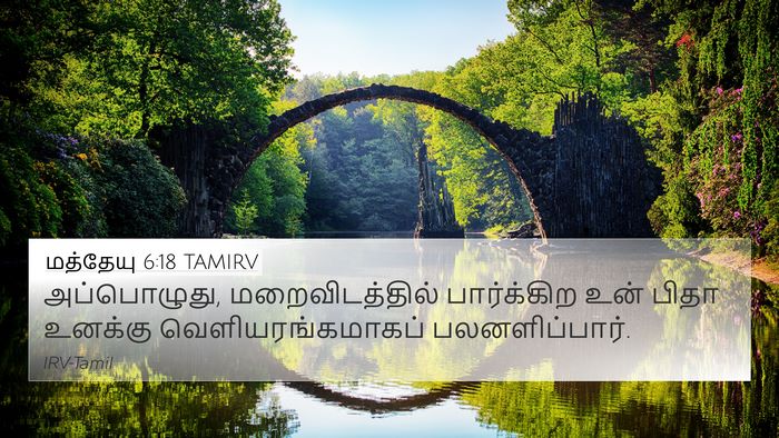 மத்தேயு 6:18 TAMIRV Bible Verse Image