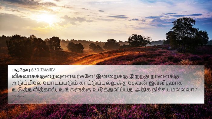 மத்தேயு 6:30 TAMIRV 4K Wallpaper -  - 4K Wallpaper Bible Verse